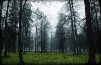 Неуловимые Приморские партизаны. Милиционеры забаррикадировались в своих отделениях