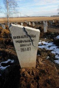 До 20% российских семей – бездетные