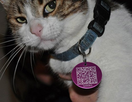 креативные QR коды